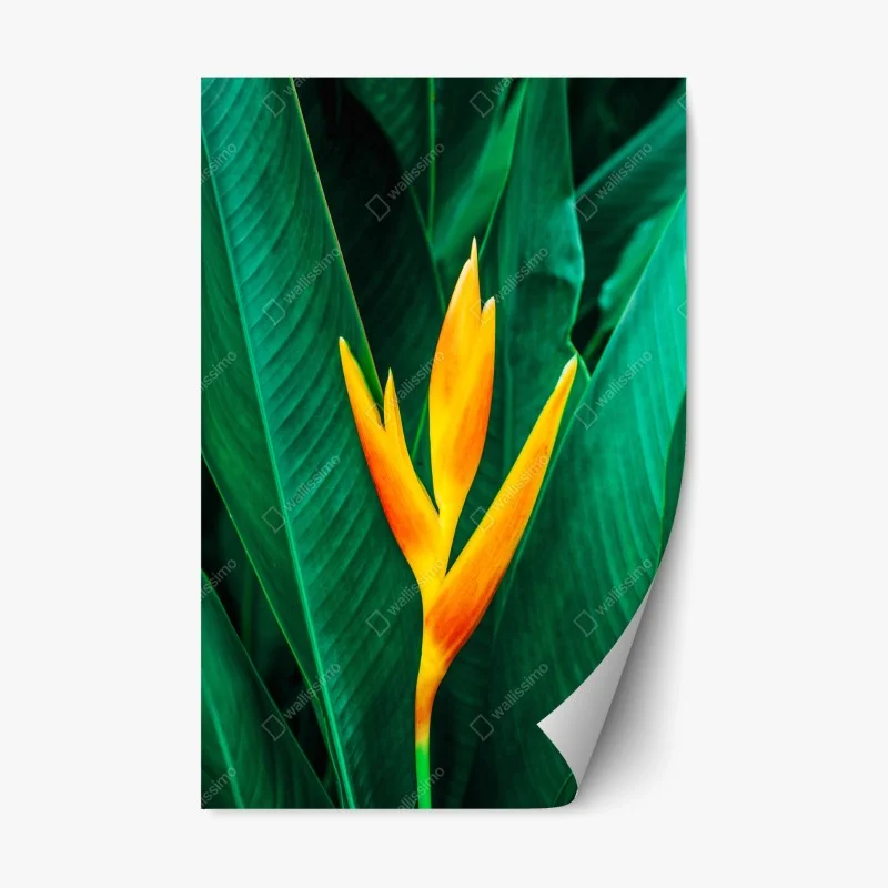 Repositionierbarer Aufkleber üppige tropische farnblätter – Wallnifity®