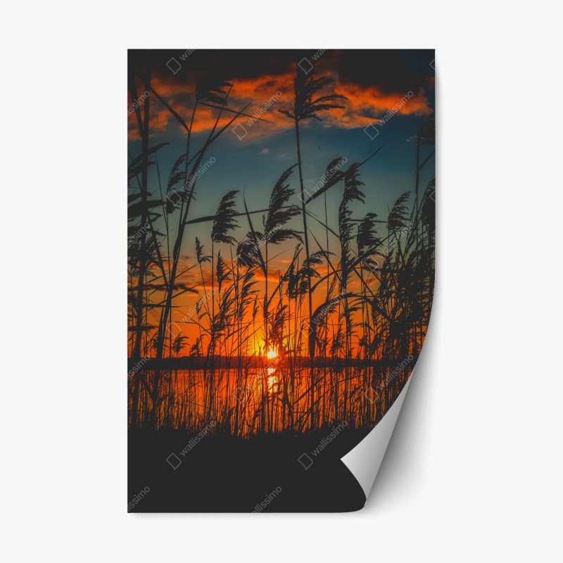 Repositionierbarer Aufkleber lebendige New York skyline bei sonnenuntergang – Wallnifity®