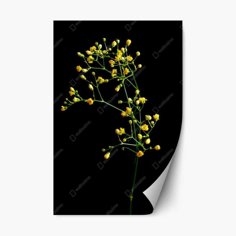 Repositionierbarer Aufkleber schwarzer marmor mit weißen adern – Wallnifity®