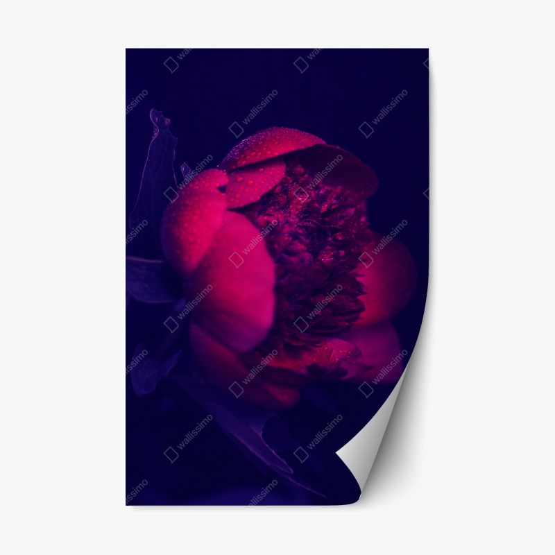 Repositionierbarer Aufkleber nebliger bergsonnenaufgang mit spiegelung – Wallnifity®