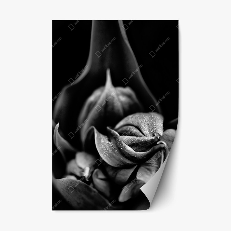 Repositionierbarer Aufkleber zarte löwenzahn-aufnahme in sanftem blau – Wallnifity®