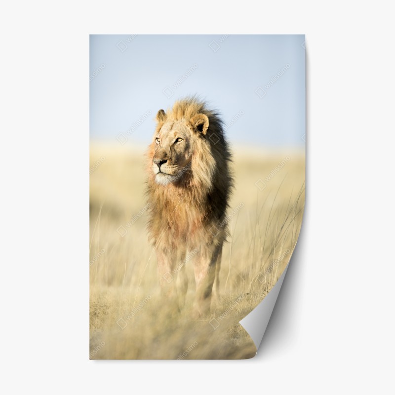 Repositionierbarer Aufkleber lebendige Skyline von Istanbul über dem Bosporus – Wallnifity®