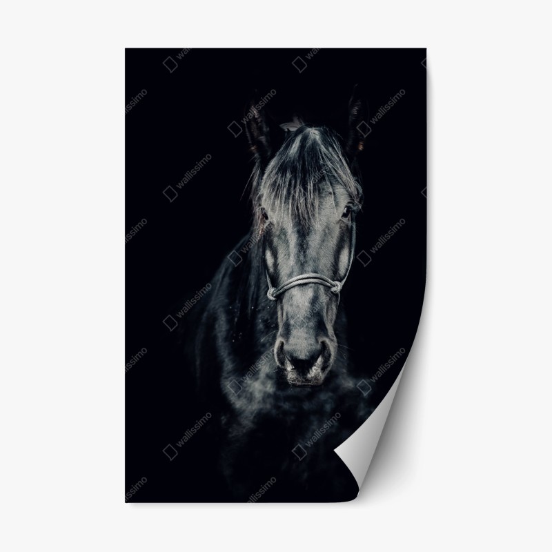 Repositionierbarer Aufkleber dunkle schiefertextur – Wallnifity®