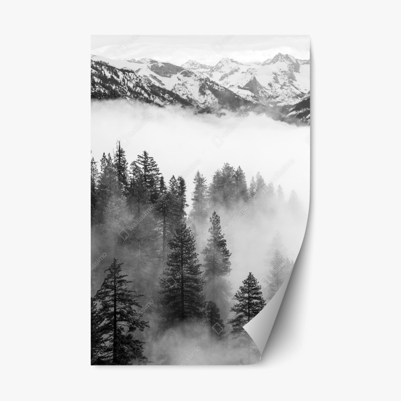 Repositionierbarer Aufkleber nebliger Giant Forest, Sequoia National Park