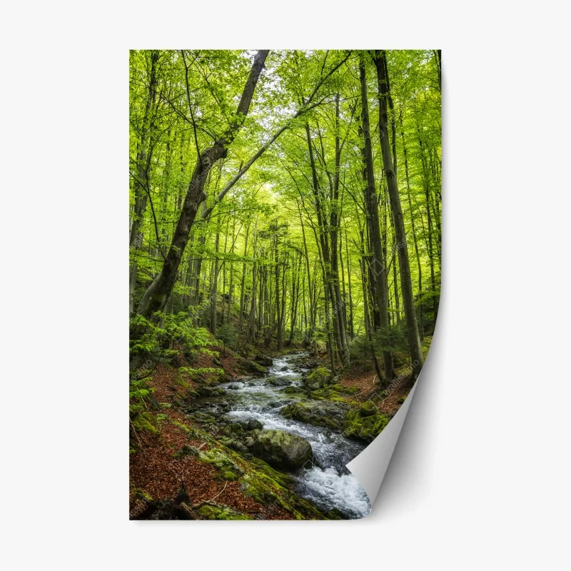 Repositionierbarer Aufkleber ruhiger grüner waldbach