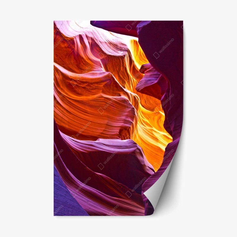 Repositionierbarer Aufkleber majestätischer jaguar in freier wildbahn – Wallnifity®