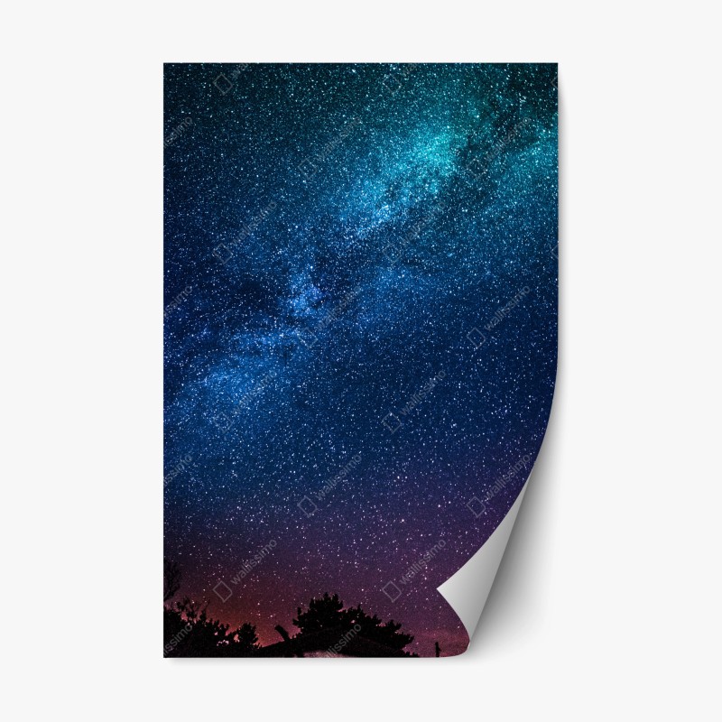 Repositionierbarer Aufkleber leuchtende tropische vögel und blumen – Wallnifity®