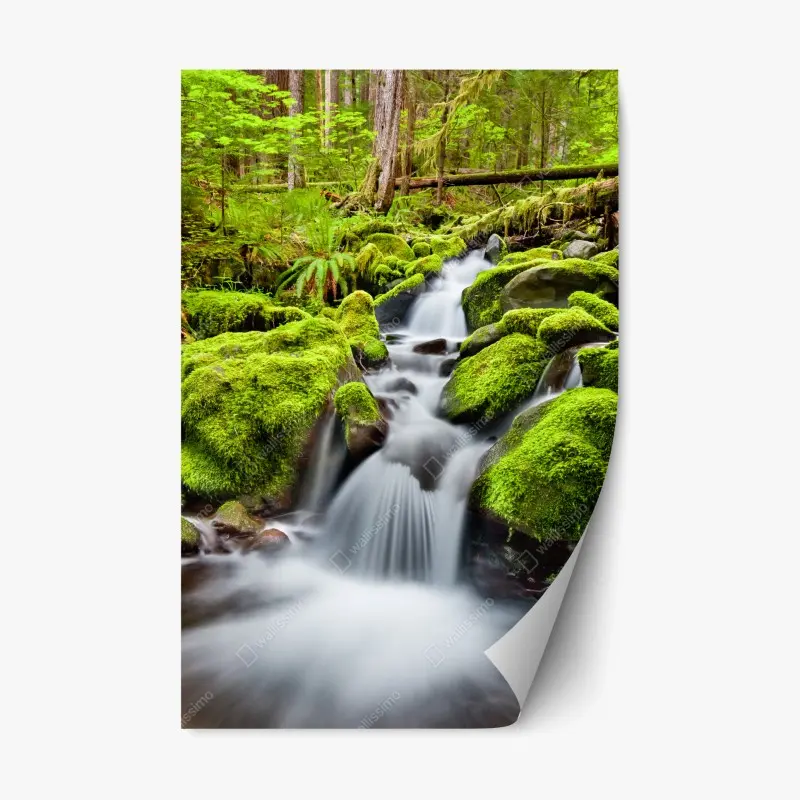 Repositionierbarer Aufkleber moosbedeckter bach bei Sol Duc Falls