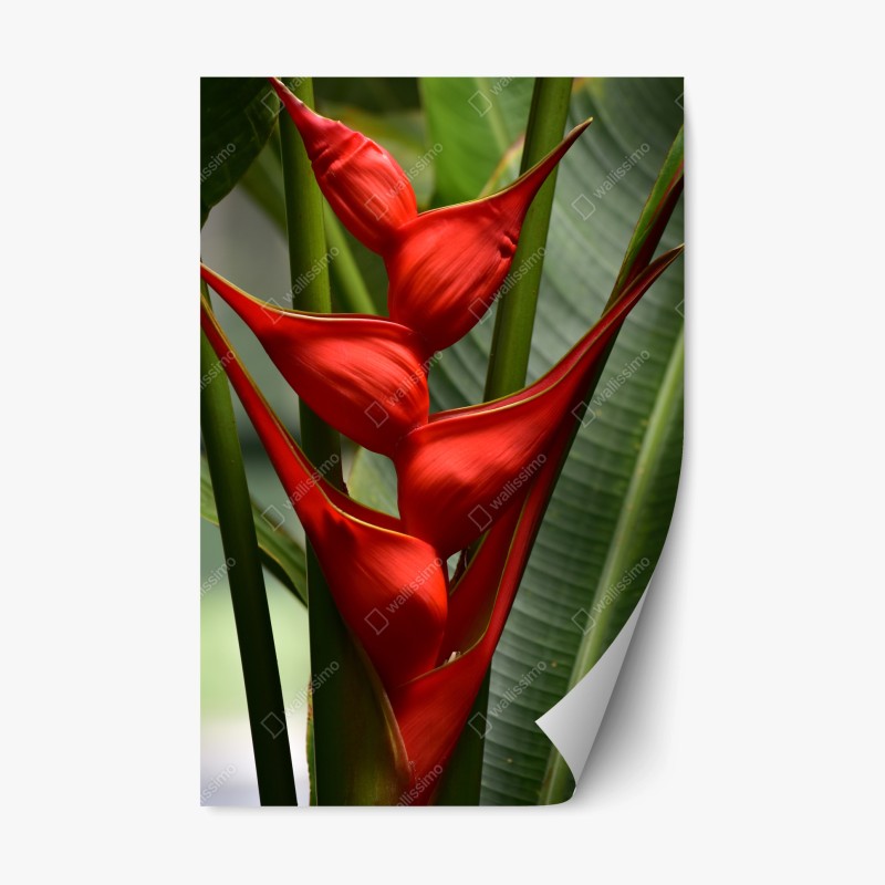 Repositionierbarer Aufkleber dunkelblaue marmor-abstraktion mit goldenen adern – Wallnifity®