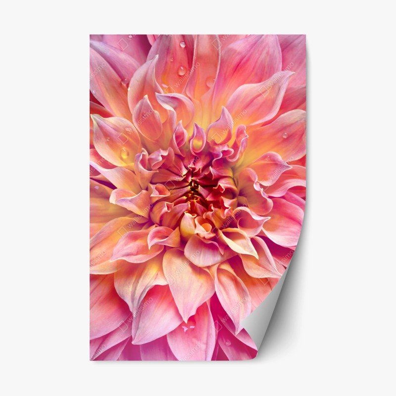 Repositionierbarer Aufkleber nebliger bergsonnenaufgang mit spiegelung – Wallnifity®