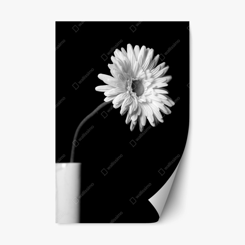 Repositionierbarer Aufkleber strand Ammopi, Karpathos türkisfarbene bucht – Wallnifity®