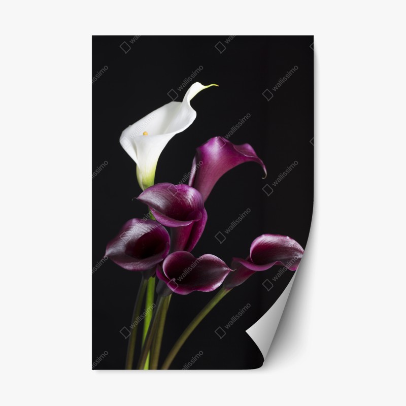 Repositionierbarer Aufkleber tropisches muster mit rosa flamingo und rosen – Wallnifity®