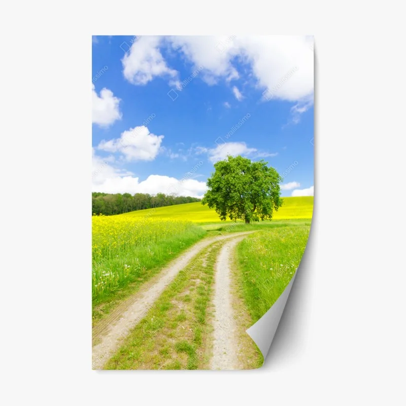 Repositionierbarer Aufkleber sonniger feldweg mit einsamem baum – Wallnifity® Repositionierbarer Aufkleber sonniger feldweg mit einsamem baum – Wallnifity®