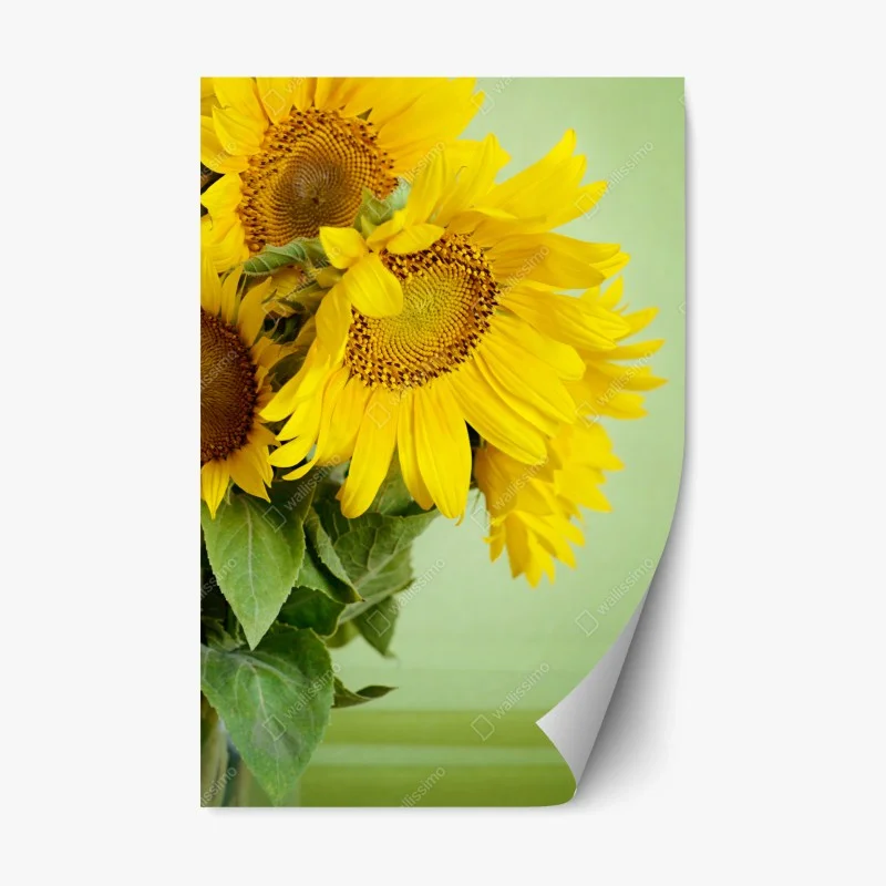 Repositionierbarer Aufkleber heller sonnenblumenstrauß auf grünem hintergrund – Wallnifity®