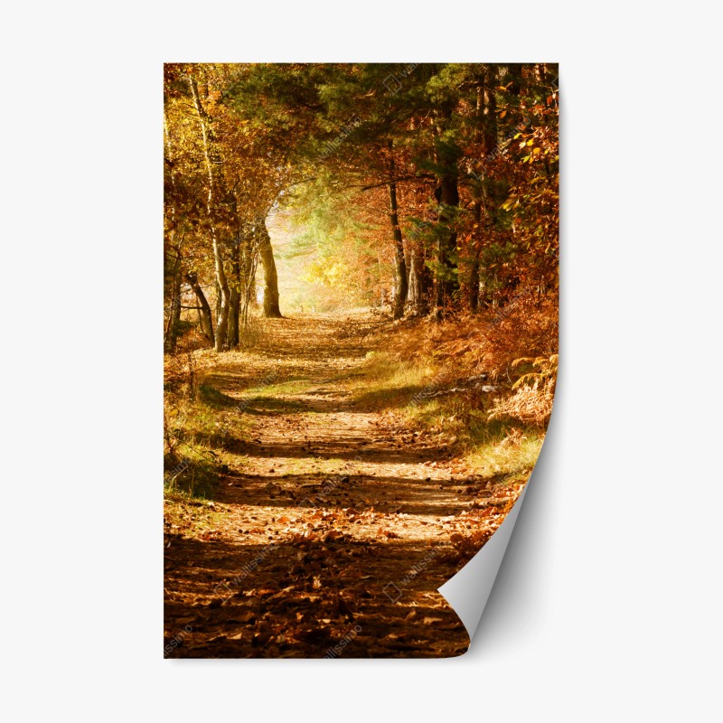 Repositionierbarer Aufkleber sonnenaufgang über tulpenfeldern in den Niederlanden – Wallnifity®