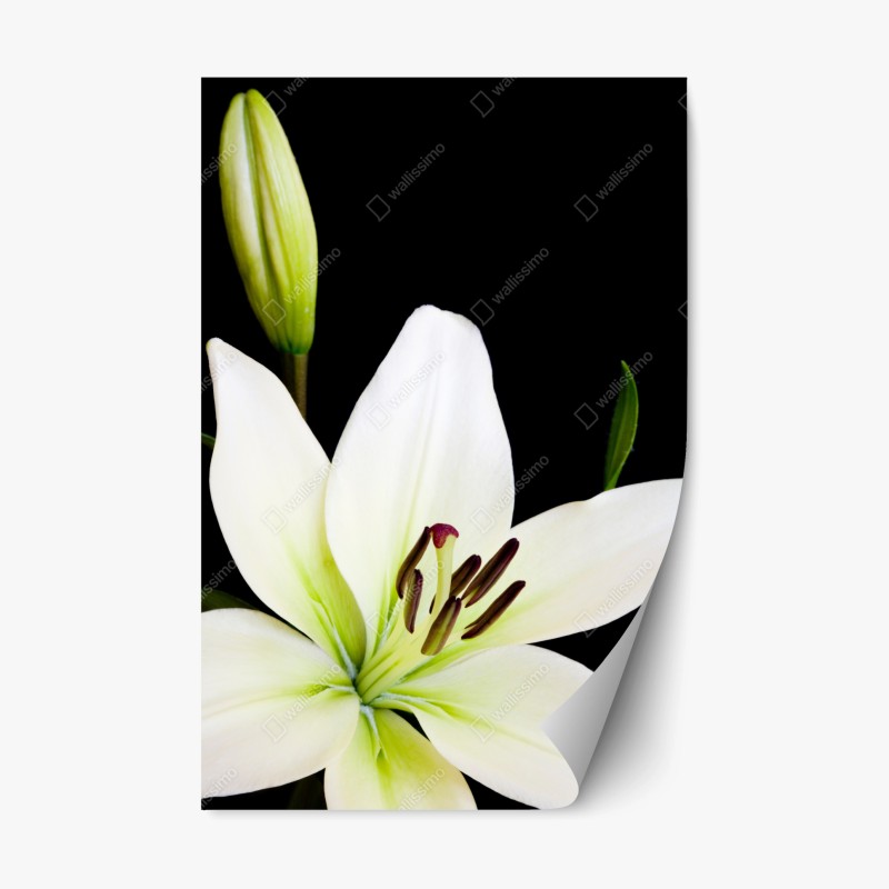 Repositionierbarer Aufkleber lebendige Skyline von Istanbul über dem Bosporus – Wallnifity®