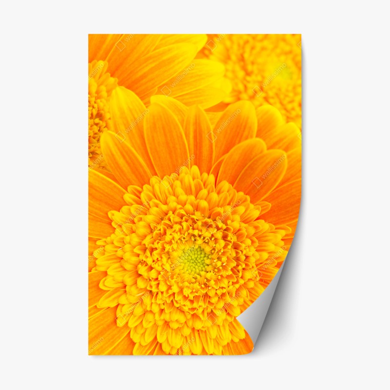 Repositionierbarer Aufkleber gewelltes architekturmotiv in graustufen – Wallnifity®