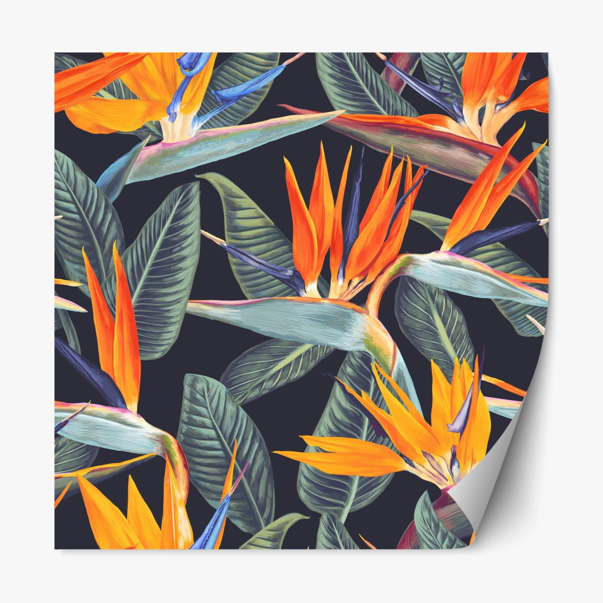 Repositionierbarer Aufkleber tropisches muster mit strelitzien – Wallnifity®
