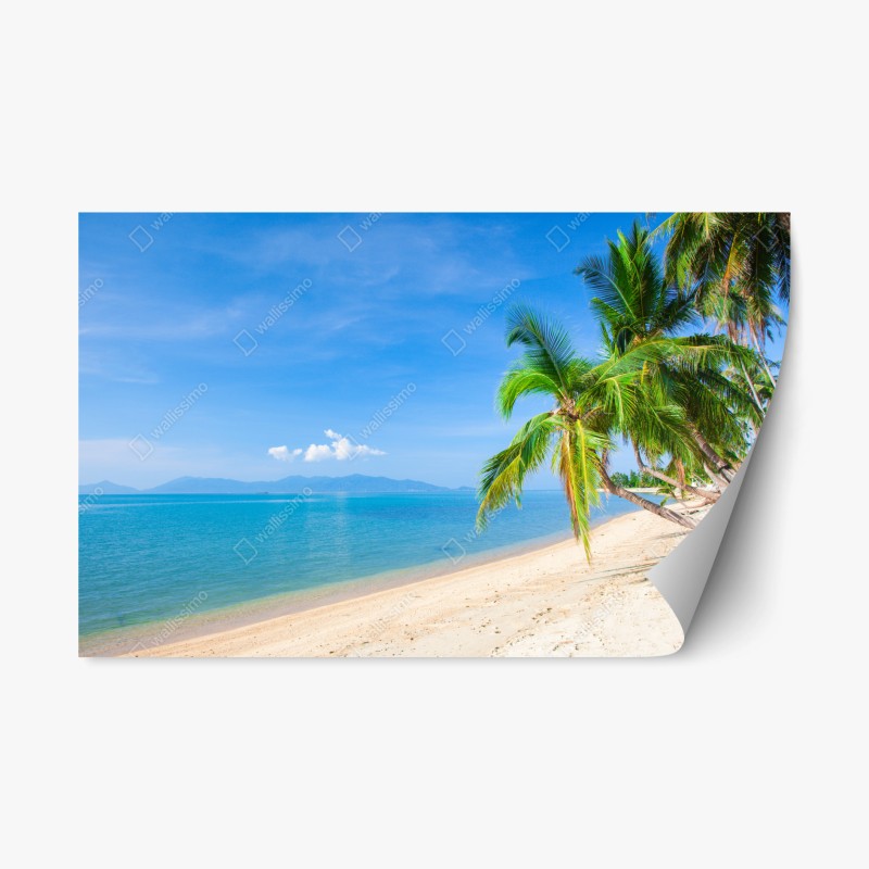 Repositionierbarer Aufkleber tropischer türkisstrand – Wallnifity®