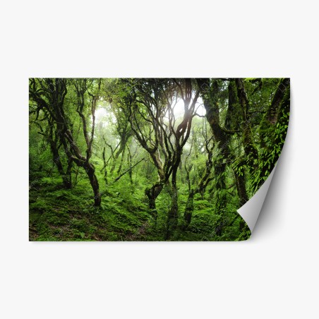 Repositionierbarer Aufkleber mystischer grüner wald – Wallnifity®