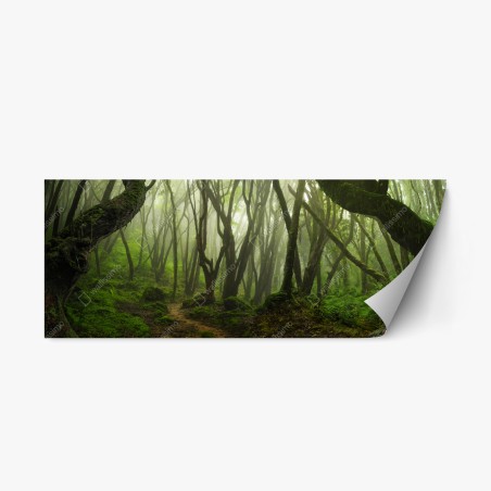 Repositionierbarer Aufkleber nebliger grüner waldpfad – Wallnifity®