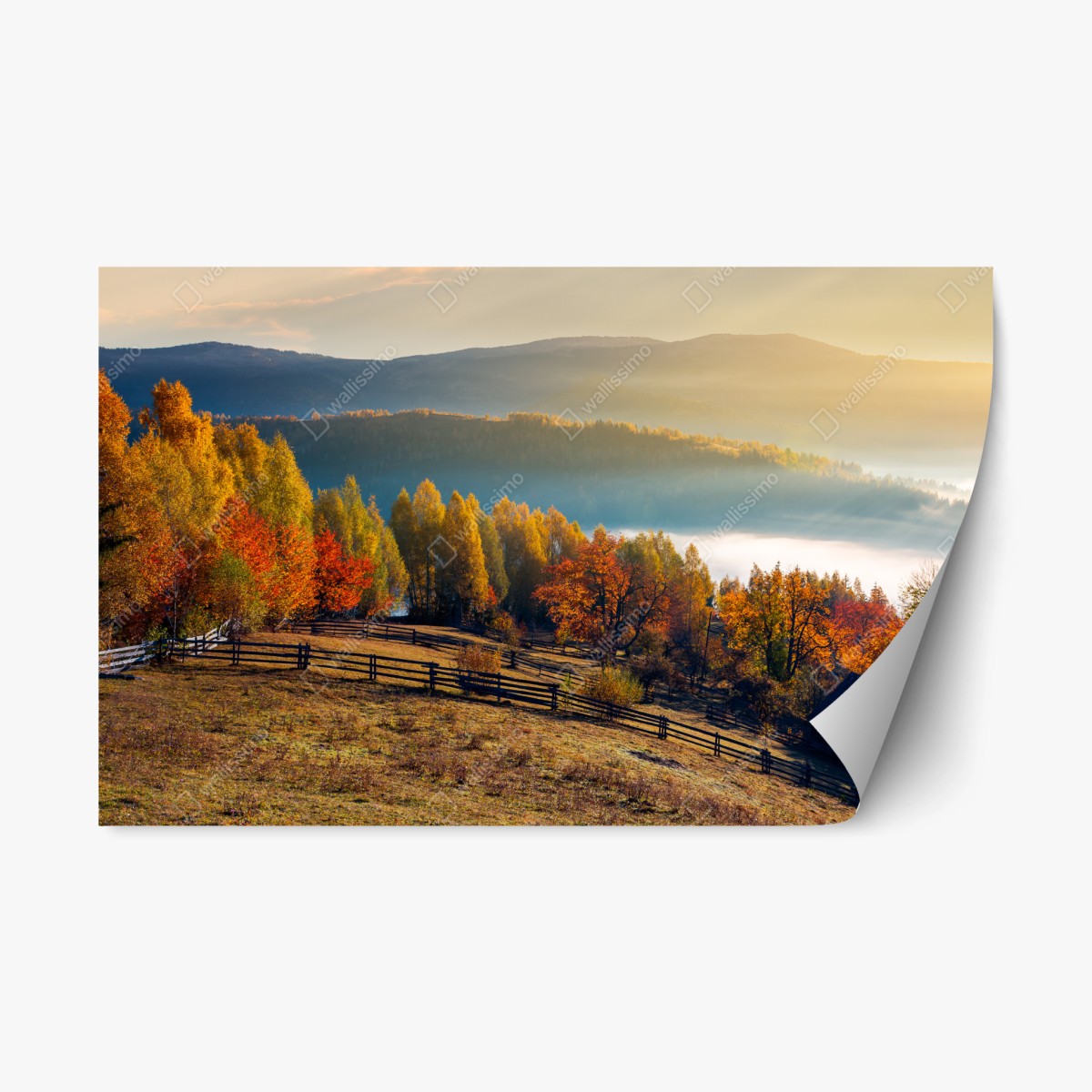 Repositionierbarer Aufkleber nebliger herbstlicher sonnenaufgang auf dem land – Wallnifity® Repositionierbarer Aufkleber nebliger herbstlicher sonnenaufgang auf dem land – Wallnifity®