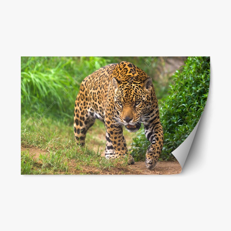 Repositionierbarer Aufkleber türkis wellenmuster für das interieur – Wallnifity®