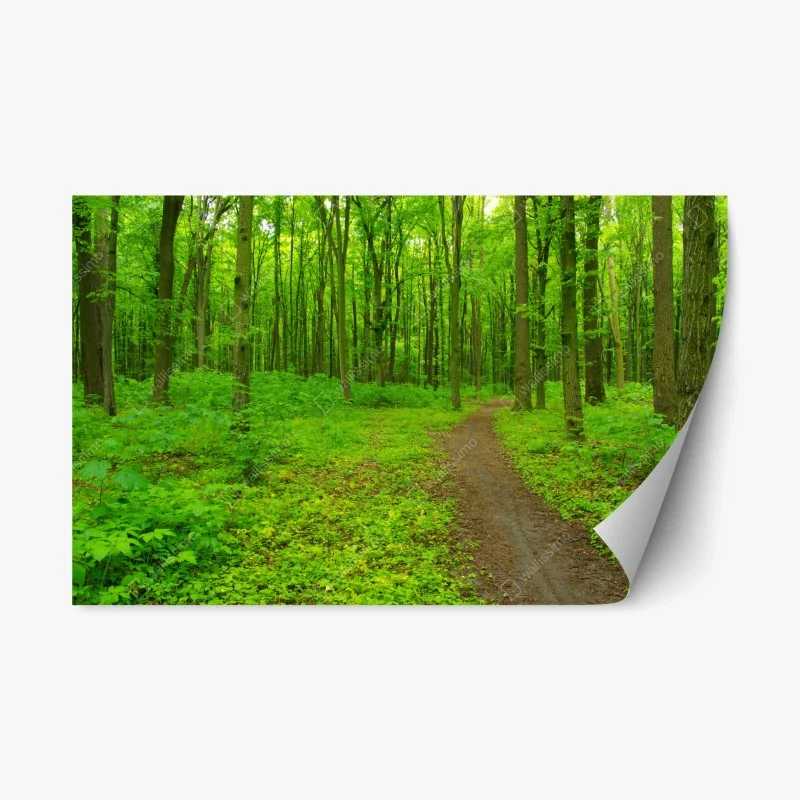 Repositionierbarer Aufkleber beruhigender grüner waldweg – Wallnifity® Repositionierbarer Aufkleber beruhigender grüner waldweg – Wallnifity®