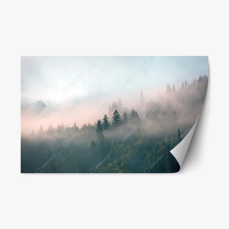 Repositionierbarer Aufkleber nebliger morgenwald – Wallnifity® Repositionierbarer Aufkleber nebliger morgenwald – Wallnifity®