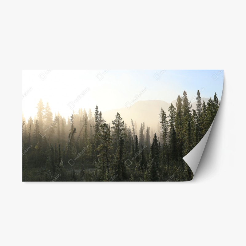 Repositionierbarer Aufkleber surreale retro-collage: traumhafte symbole und erinnerungen – Wallnifity®