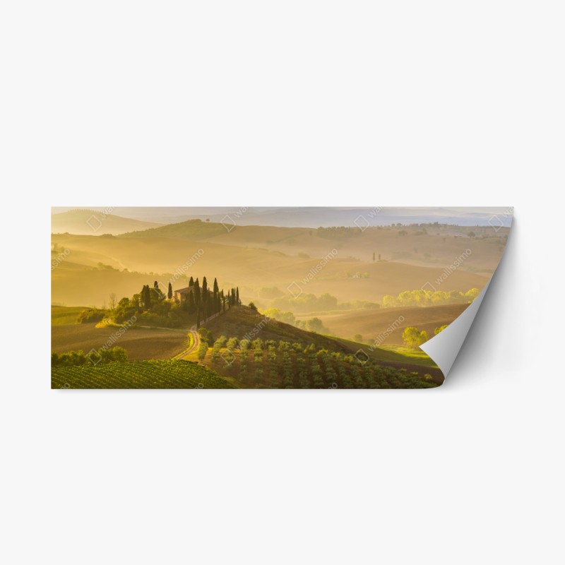 Repositionierbarer Aufkleber eisbär auf eis in der Arktis, Svalbard – Wallnifity®