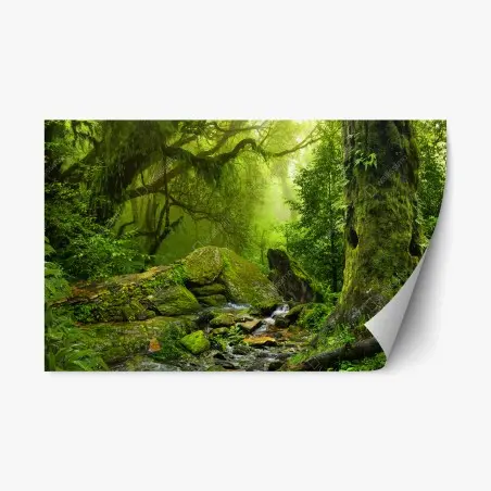 Repositionierbarer Aufkleber moosbedeckter waldbach – Wallnifity®