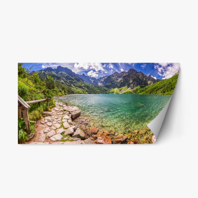 Repositionierbarer Aufkleber elegantes pfauen- und blumenmuster – Wallnifity®