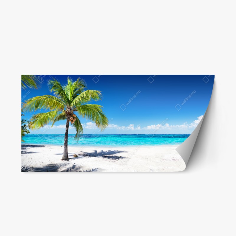 Repositionierbarer Aufkleber tropische palme an einer türkisfarbenen bucht