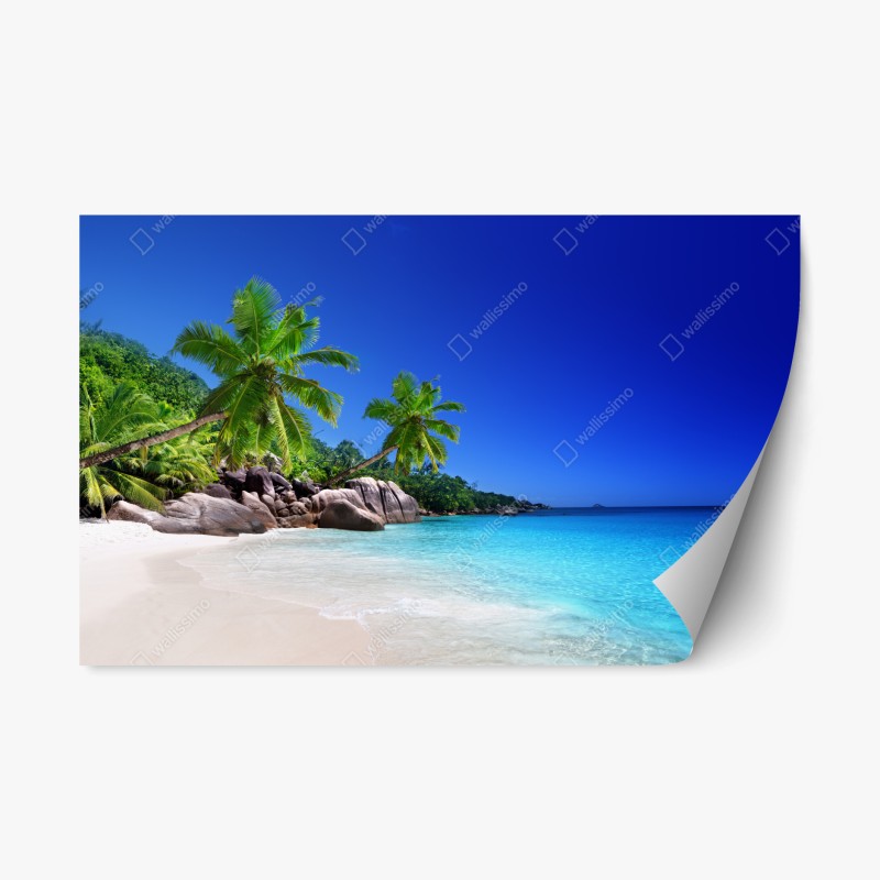 Repositionierbarer Aufkleber tropischer strand mit türkisfarbenem wasser und palmen