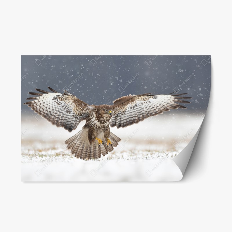 Repositionierbarer Aufkleber winterliche gimpel und vogelbeeren - muster – Wallnifity®