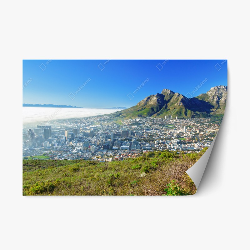 Repositionierbarer Aufkleber ruhiger grüner waldpfad – Wallnifity®