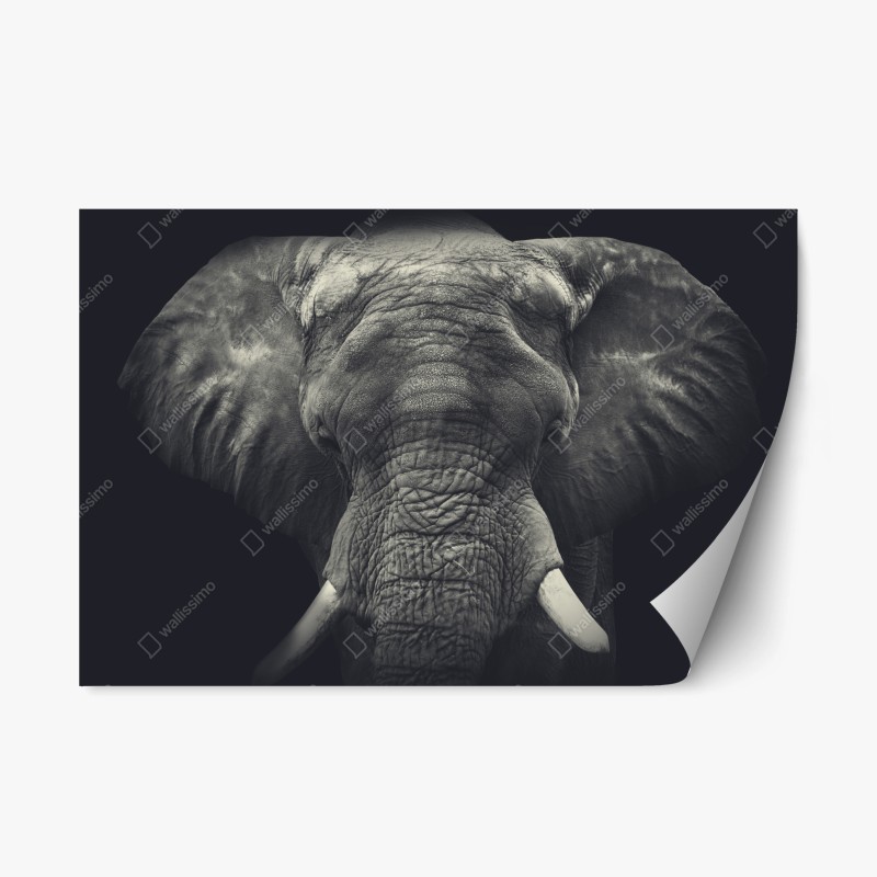 Repositionierbarer Aufkleber majestätische gipfel über grünen hügeln – Wallnifity®