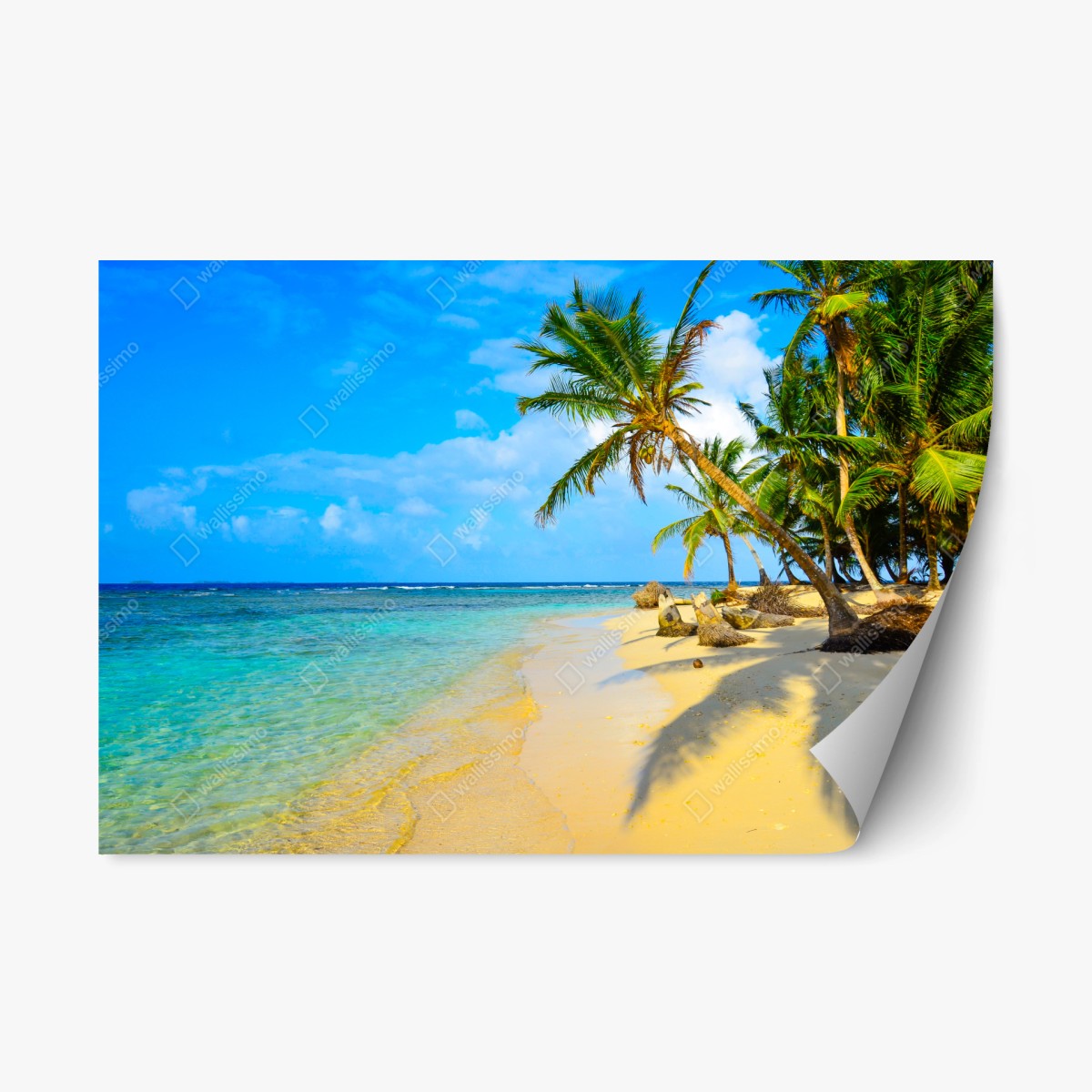 Repositionierbarer Aufkleber tropischer türkisstrand – Wallnifity® Repositionierbarer Aufkleber tropischer türkisstrand – Wallnifity®