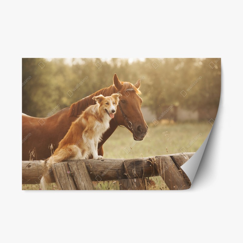 Repositionierbarer Aufkleber blumiges peonienmuster in türkis und marineblau – Wallnifity®