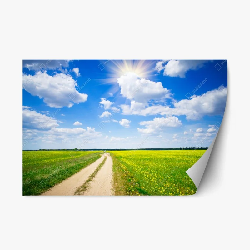 Repositionierbarer Aufkleber gelbes rapsfeld unter blauem himmel