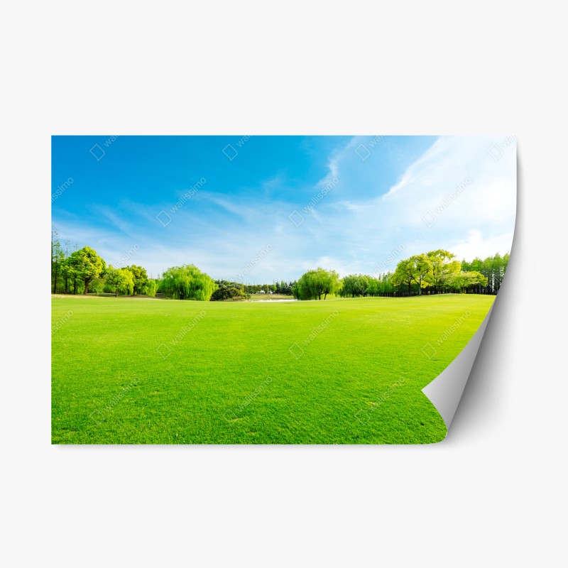 Repositionierbarer Aufkleber zarte löwenzahn-aufnahme in sanftem blau – Wallnifity®