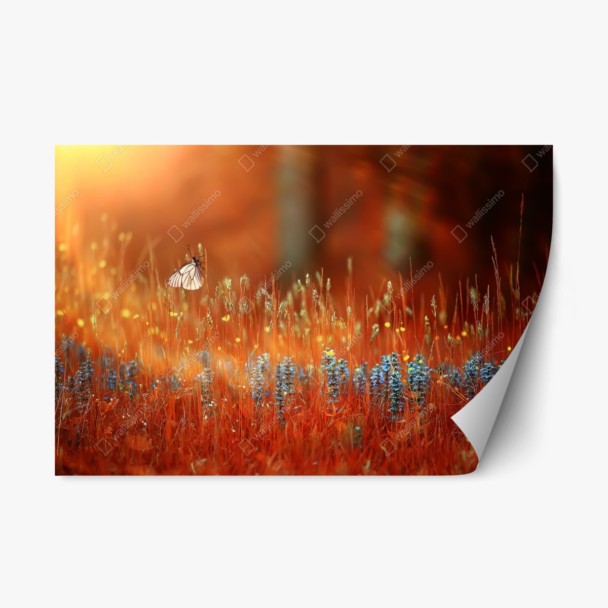 Repositionierbarer Aufkleber schmetterling auf goldener wiese – Wallnifity® Repositionierbarer Aufkleber schmetterling auf goldener wiese – Wallnifity®