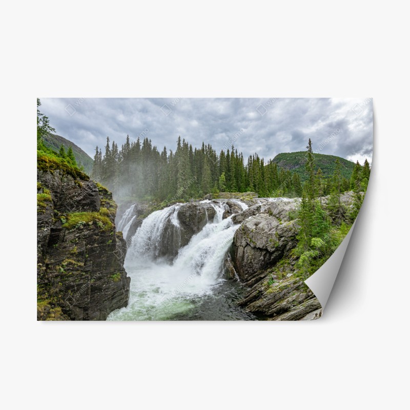 Repositionierbarer Aufkleber majestätischer jaguar in freier wildbahn – Wallnifity®