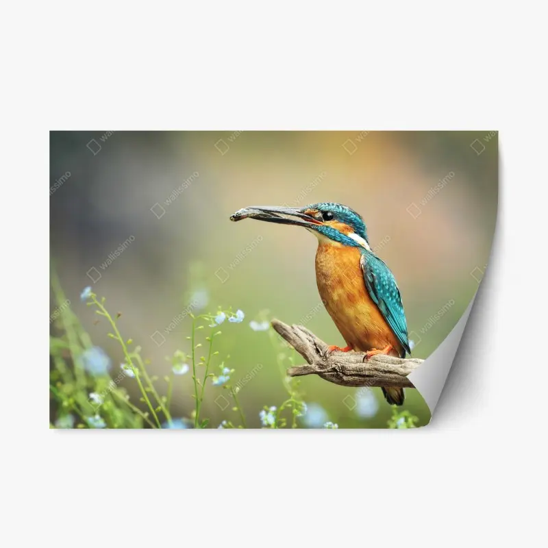 Repositionierbarer Aufkleber eisvogel auf einem ast mit fisch