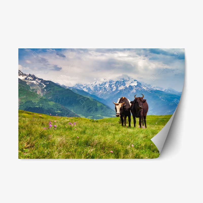 Repositionierbarer Aufkleber weiche blaue sterne für das kinderzimmer – Wallnifity®