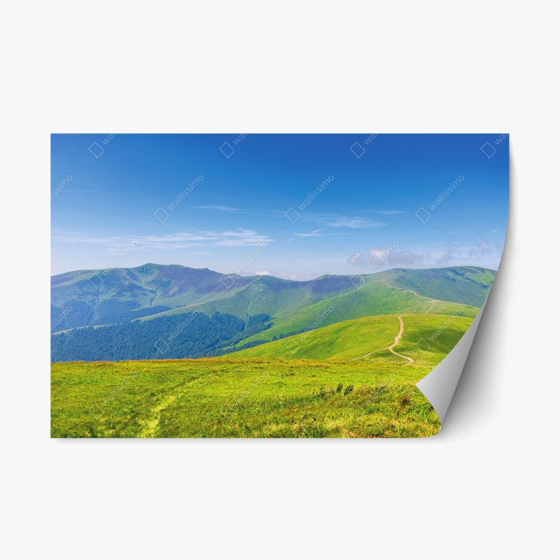 Repositionierbarer Aufkleber zartes beiges muster mit vögeln und ästen – Wallnifity®