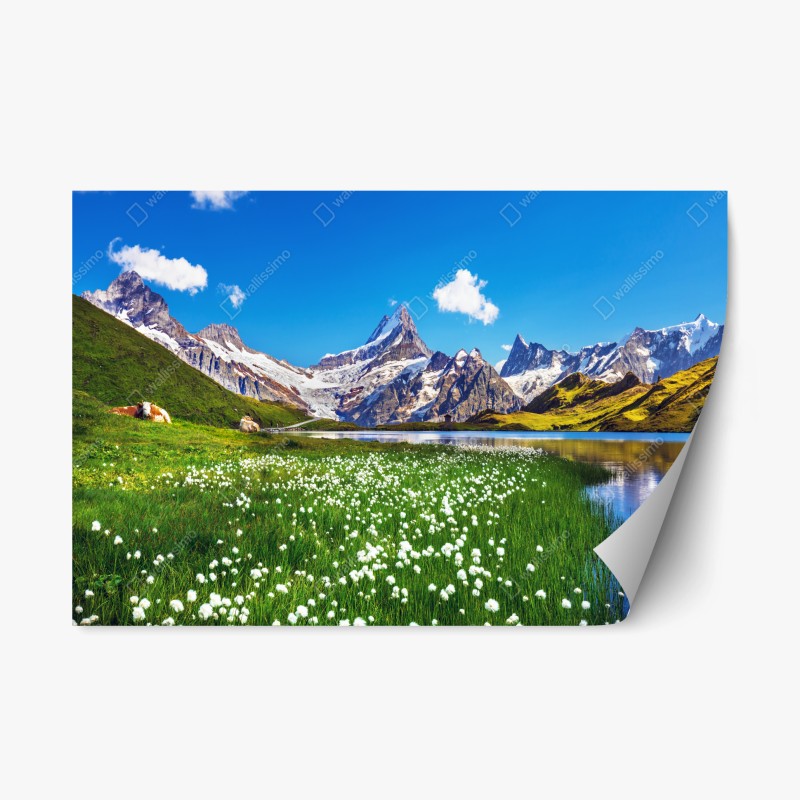 Repositionierbarer Aufkleber Azenhas do Mar küstendorf auf der klippe, Portugal – Wallnifity®