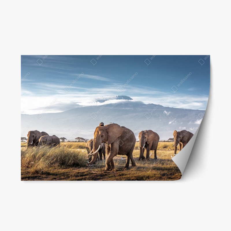 Repositionierbarer Aufkleber panorama des üppigen grünen wasserfalls – Wallnifity®