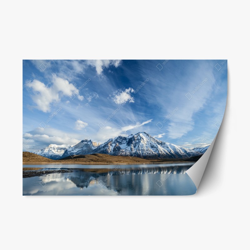 Repositionierbarer Aufkleber zarte löwenzahn-aufnahme in sanftem blau – Wallnifity®